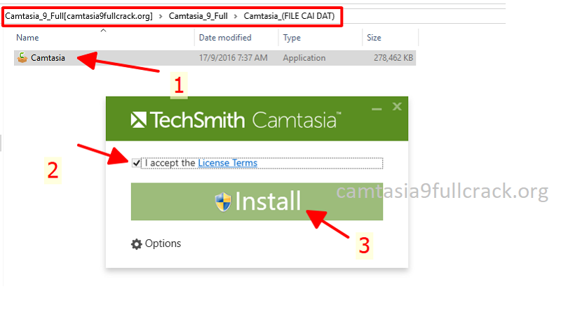 Tick vào ô "I accept the License Terms" > Install.